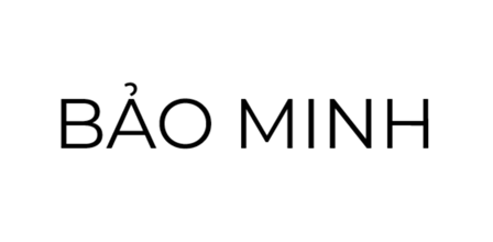 BẢO HIỂM BẢO MINH